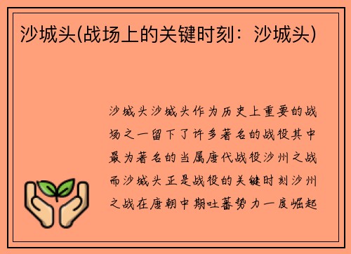 沙城头(战场上的关键时刻：沙城头)